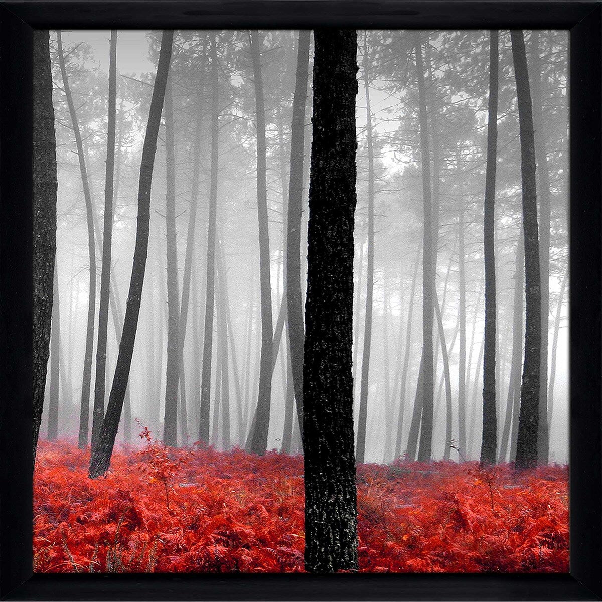47 Autumn Woods Landscape Art Print on Acrylic - Stunning Nature Wall Decor for Living Room, Bedroom & Office