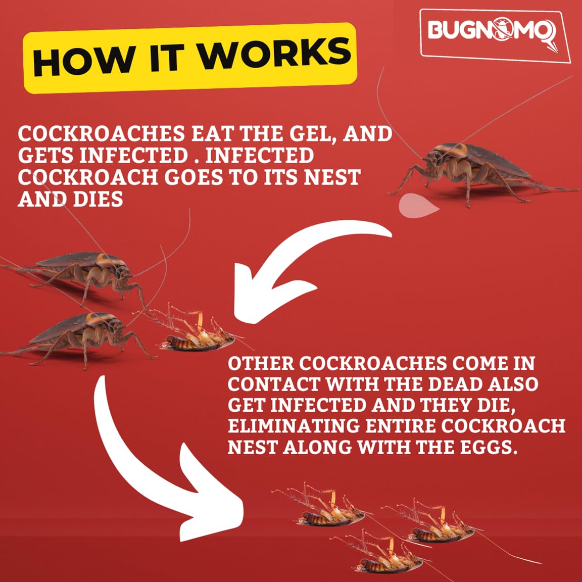 iShine Bugnomor Anti Roach Gel 30g - Powerful Cockroach Killer Gel for Home & Kitchen - Long Lasting Roach Bait for Indoor Use - Effective Pest Control Solution (30g x2) - Ideal for Cabinets, Under Sinks & Corners