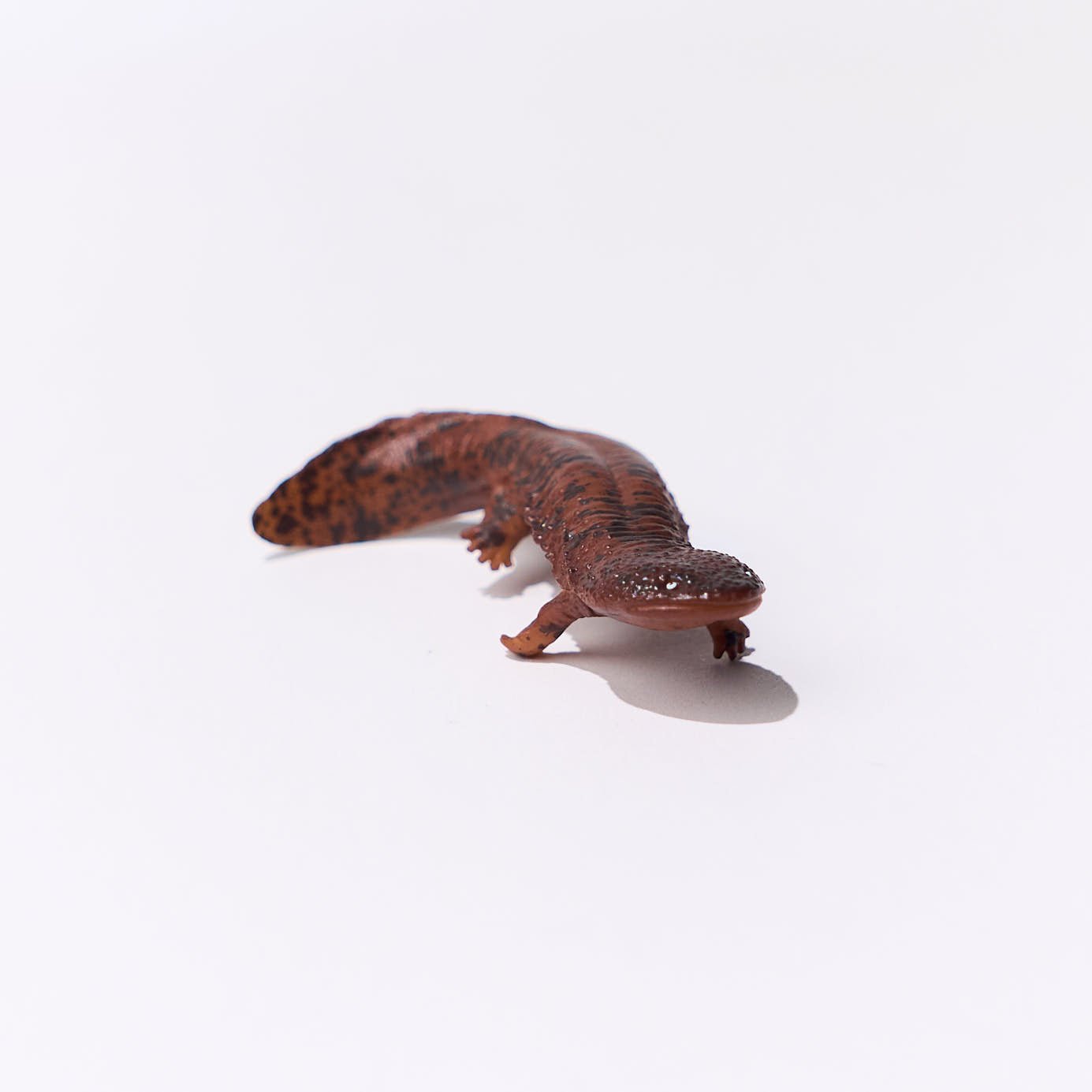 Japanese Animal Gacha Capsule Toys - Collectible Kawaii Creature Figures for Kids & Anime Fans | Perfect for Party Favors, Gift Bags & Display Collections