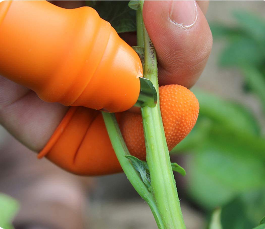 Cyrox Garden Fruit & Vegetable Picking Thumb Knife - Stainless Steel Kitchen Knife Set with Garlic Peeler - Perfect for Harvesting, Cooking & Food Prep at Home