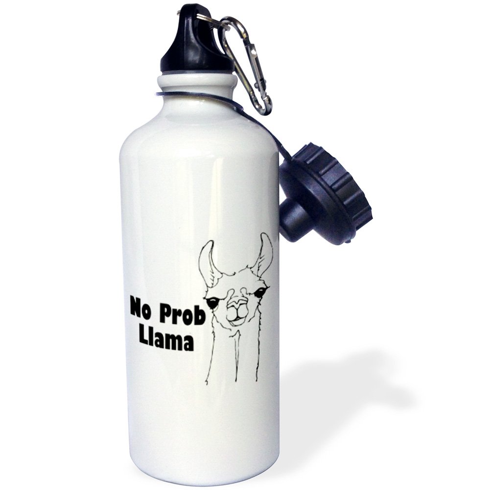 3D Rose No Pro Llama Sports Water Bottle - 21oz Insulated Stainless Steel Bottle with Leak-Proof Lid - Multicolor Design for Gym, Hiking & Outdoor Activities