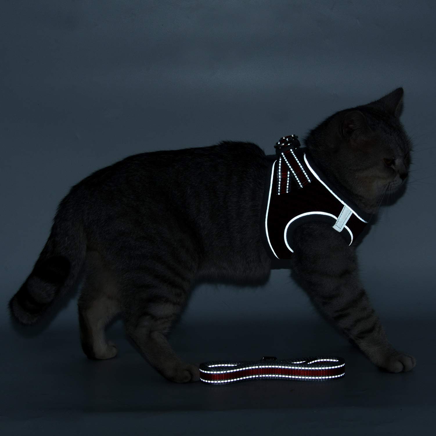 SELMAI Reflective Cat Harness and Leash Set - Escape Proof No Pull Adjustable Soft Mesh Vest for Small Dogs, Kittens, Puppies & Chihuahuas (Red, XL, 1.5m) - Perfect for Night Walks, Pet Training & Outdoor Adventures