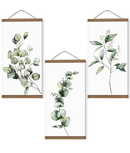Eucalyptus