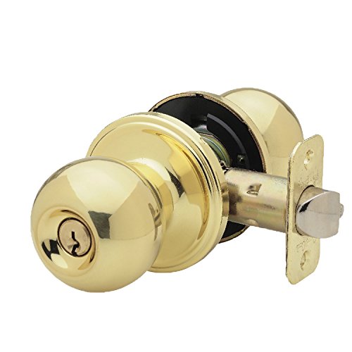 Polished Brass