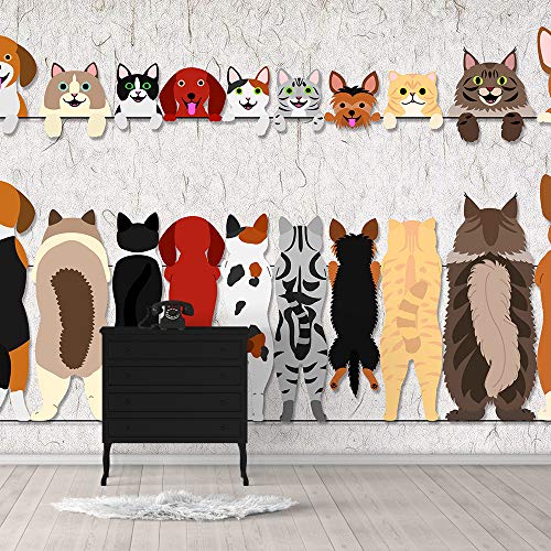 Collection03-1910-h25