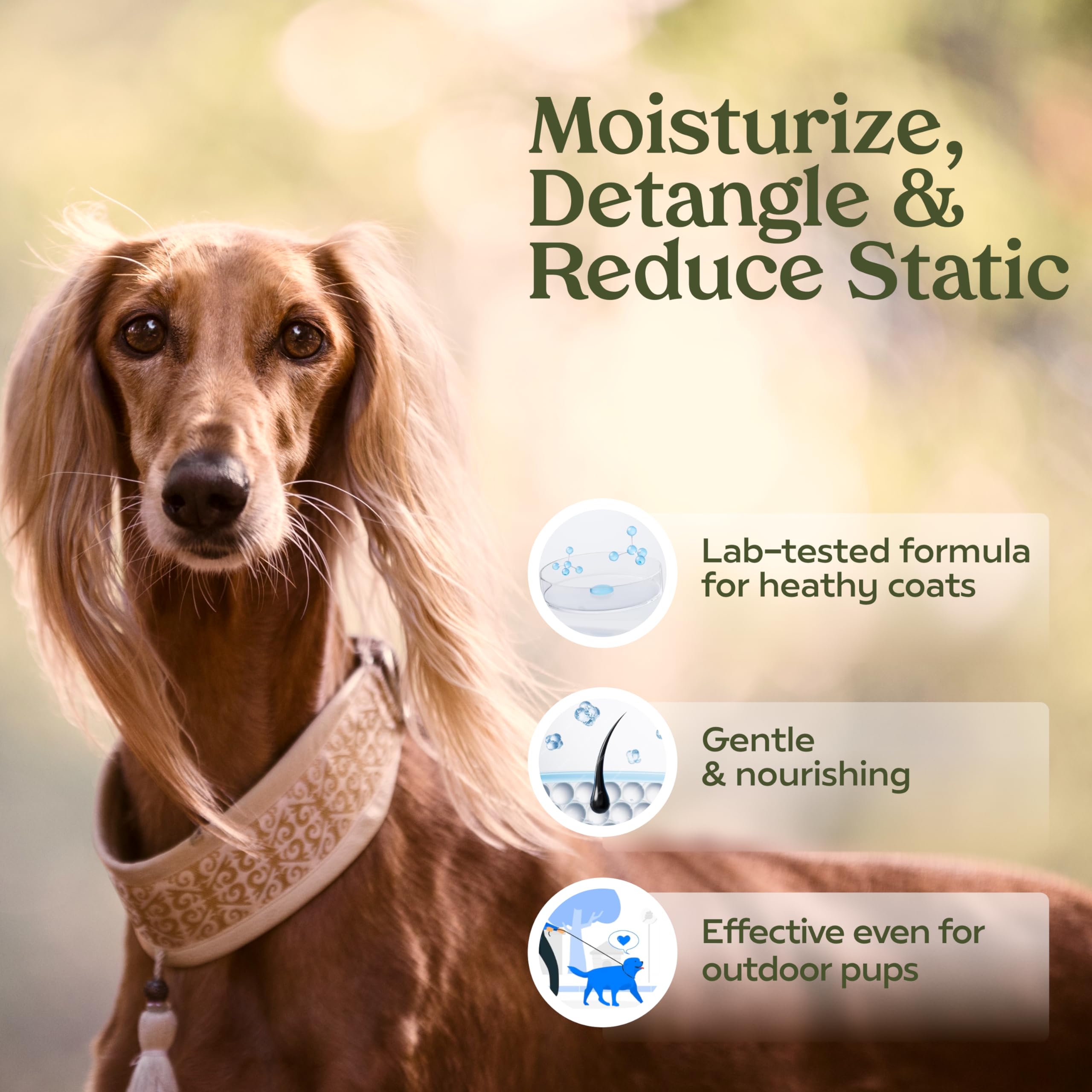 PAWFUME Premium Grooming Dog Spray for Show Dogs & Blue Ribbon - Odor Control & Shine Enhancer for Professional Dog Grooming, Shows & Daily Care
