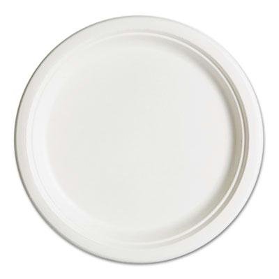 Eco-Friendly 10-Inch Compostable Sugarcane Plates - 500 Pack, Biodegradable & Renewable Dinnerware for Parties, Picnics, and Eco-Conscious Events