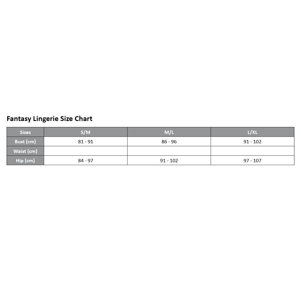 Fantasy Lingerie Set - Paige Sheer Lace Underwire Chemise & Matching Panty for Women | Sexy Lingerie for Valentine's Day & Romantic Nights