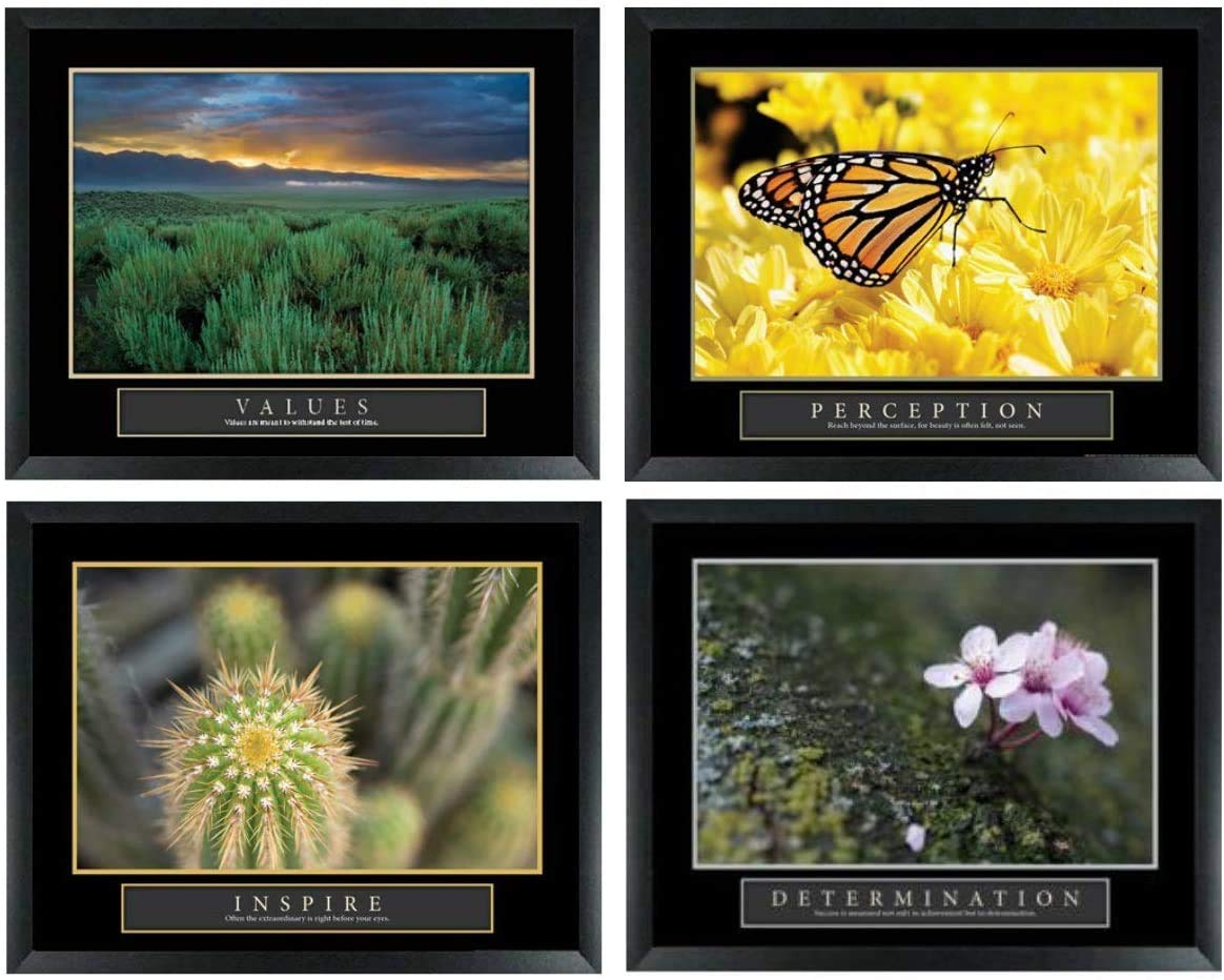4 Inspirational Motivational Posters - Values, Butterfly, Cactus & Determination Flower Wall Art for Home, Office & Classroom Decor