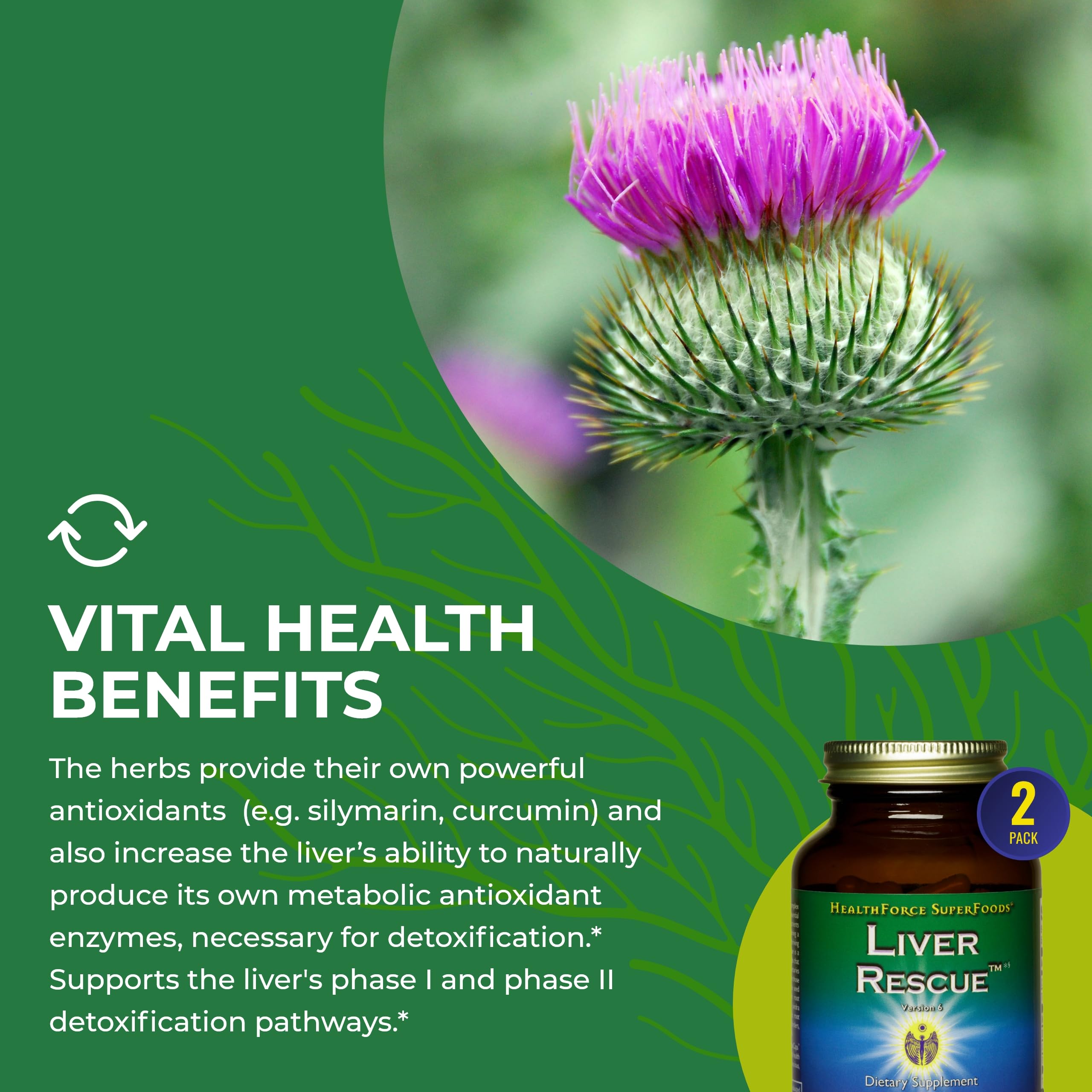 HealthForce SuperFoods Liver Rescue Supplement - Natural Liver Cleanse & Detox with Milk Thistle & Dandelion Root - Gluten-Free Vegan Capsules (120 Caps, Pack of 2) for Liver Support & Digestive Health