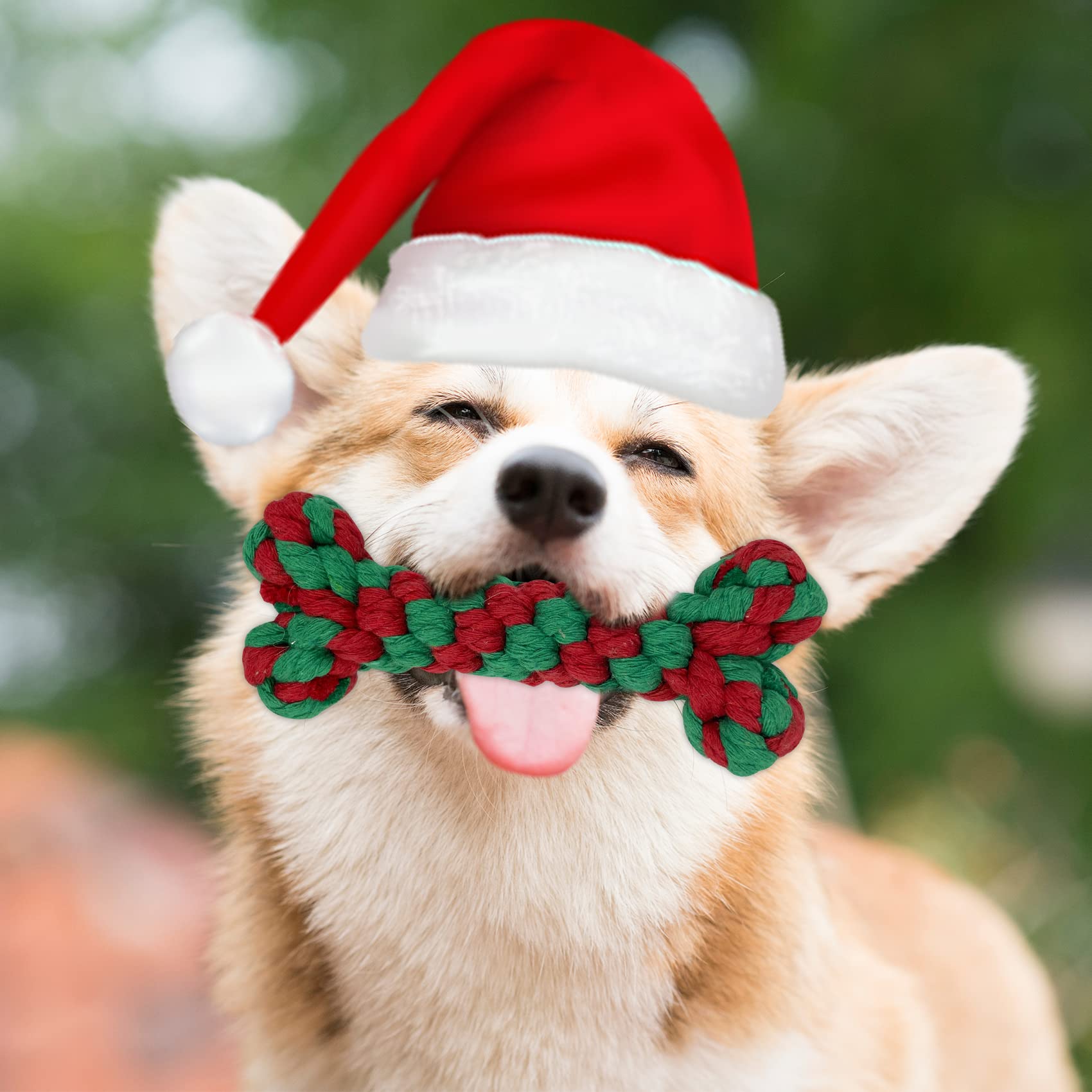 MISS FANTASY Christmas Dog Toys - 4 Pack Stuffless Rope Chew Toys for Aggressive Chewers, Durable Plush Puppy Toys with Squeaker for Large Medium Small Dogs | Holiday Gift for Pets, Interactive Play & Teething Relief