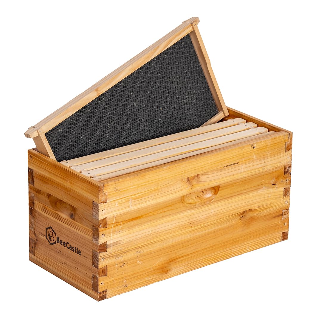 BeeCastle 5 Frame Bee Hive Nuc Box - 100% Beeswax Coated with Frames & Waxed Foundations | Starter Kit for Beekeeping, Honey Production & Pollination Gardens