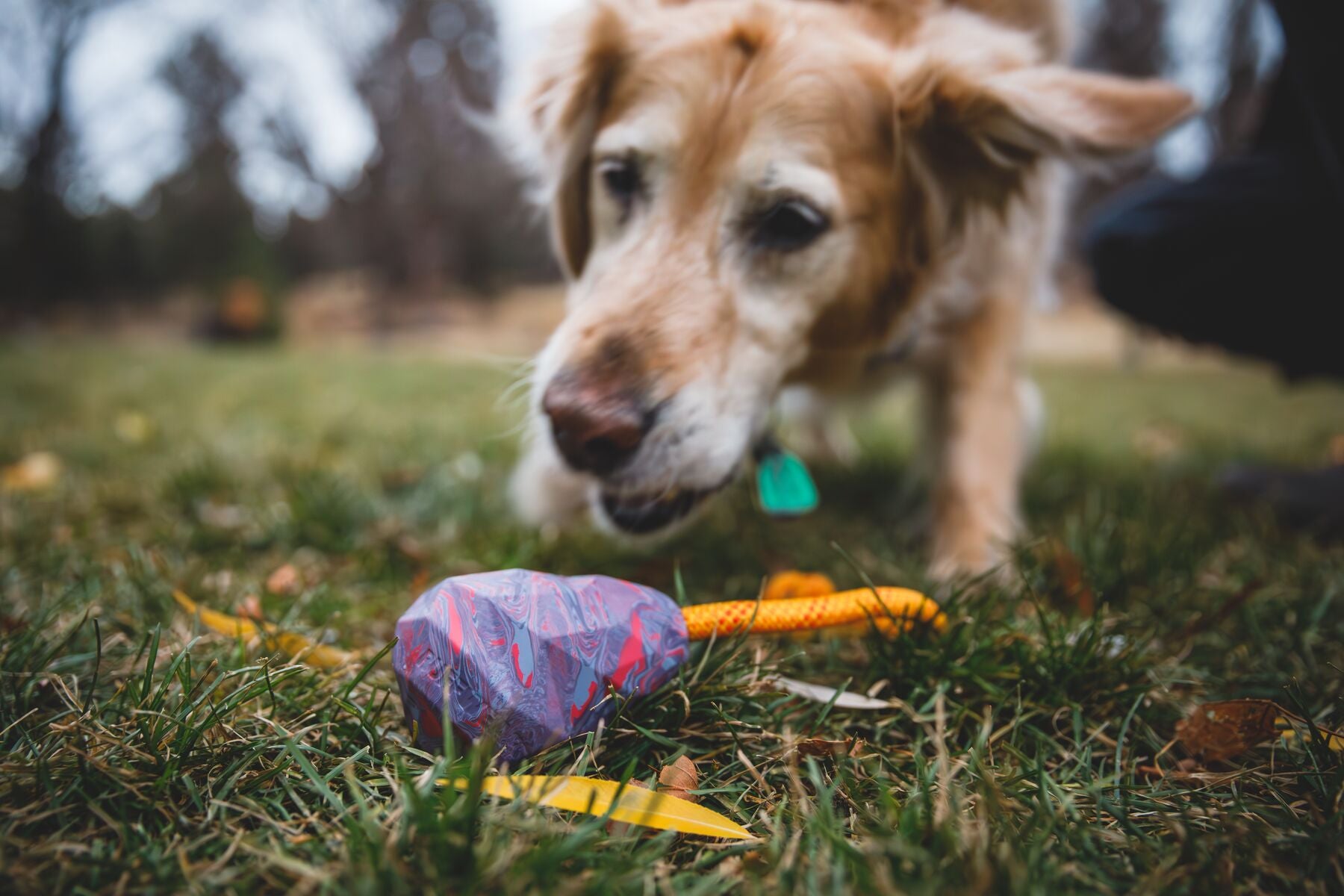 Ruffwear® Huck a Cone® Naranja Salamandra (Salamander Orange) - Durable Fetch, Toss & Bounce Dog Toy for Outdoor Play, Training and Water Fun | Interactive Play for Dogs at Parks, Beaches & Backyards