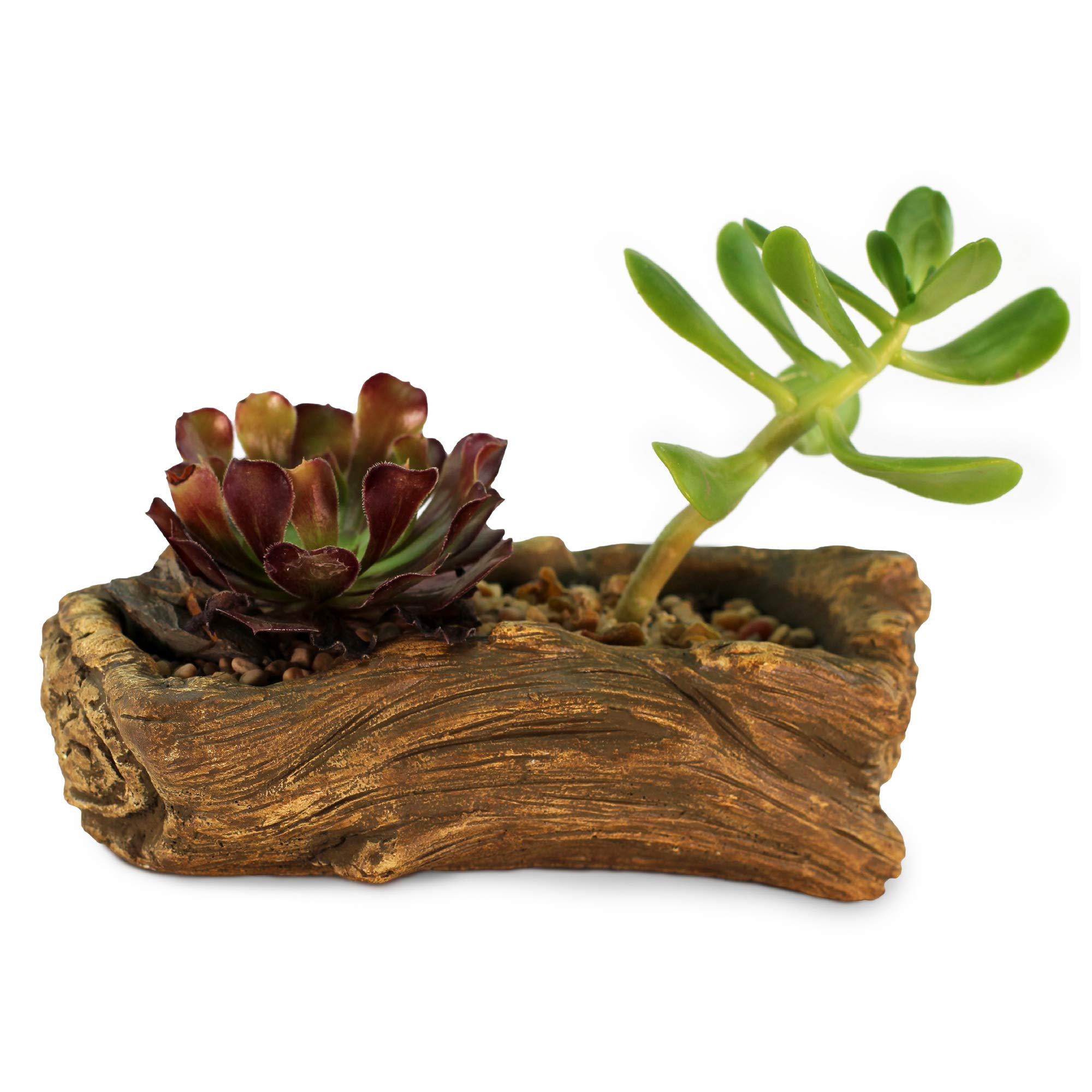 Ceramic Wood Plant Pot - Indoor Wood Planter for Succulents, Flowers & Small Plants | Unique Driftwood Whale Log Planter | Perfect for Home Decor, Office Desk & Gift Ideas