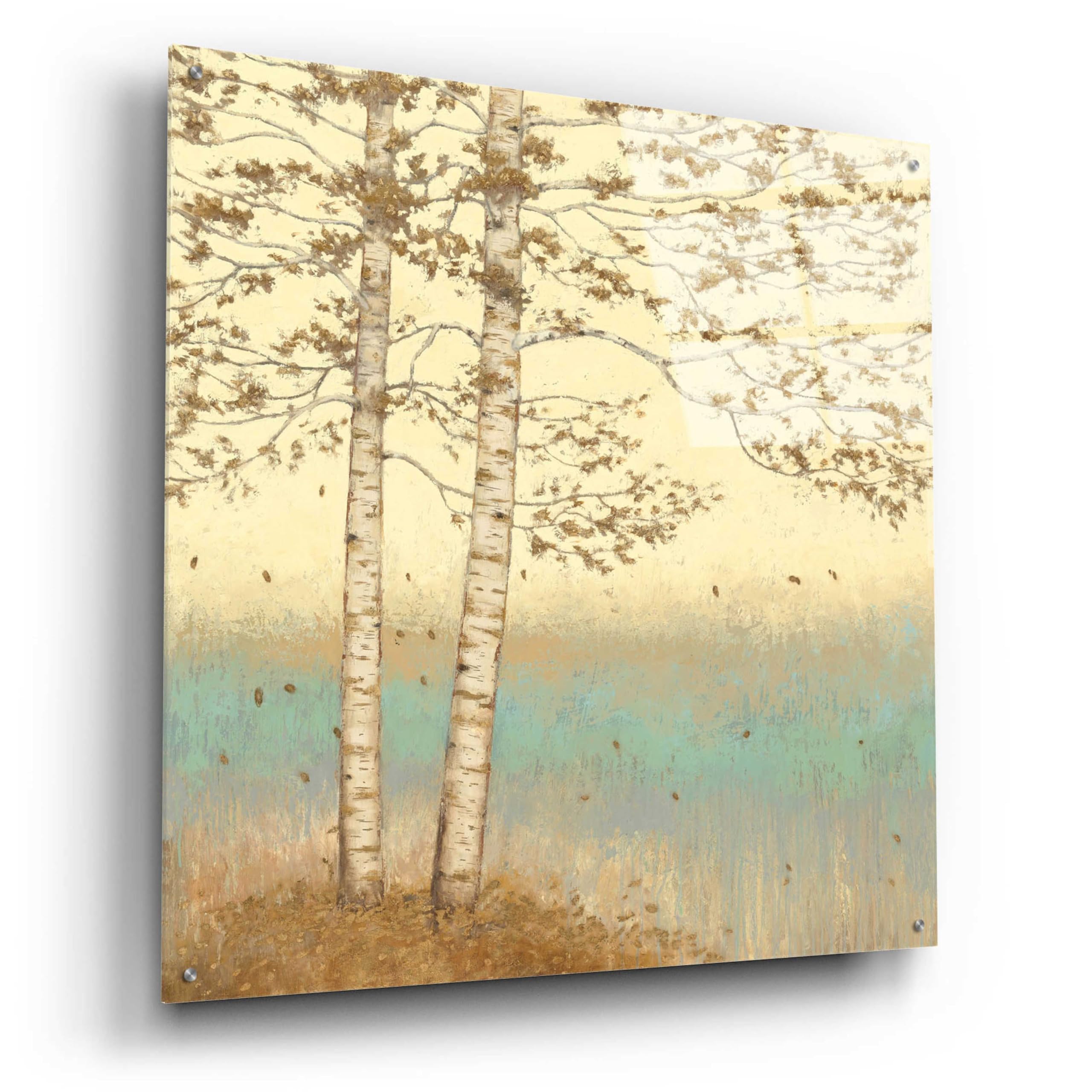 Golden Birch I Acrylic Glass Wall Art by James Wiens - 36x36 Inches Modern Home Decor for Living Room, Bedroom & Office