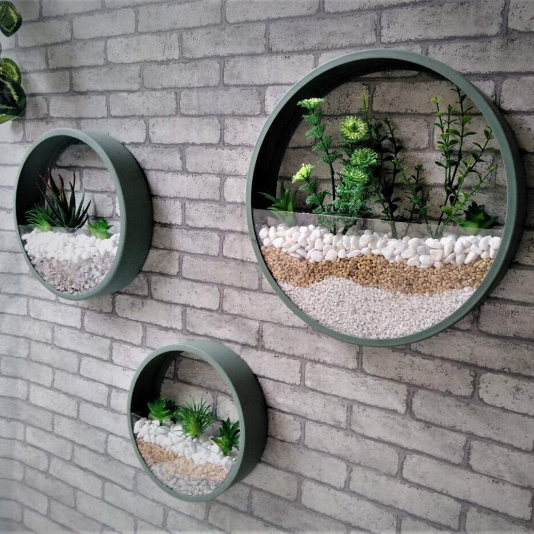 Ecosides 12