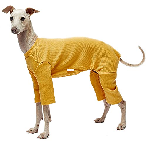 Basic Mustard