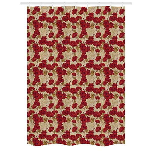 Red Khaki Sand Brown