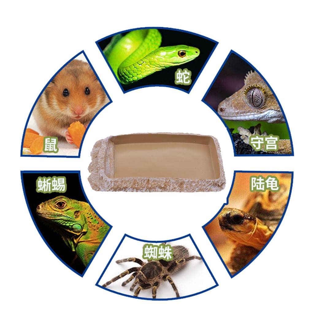 UJEAVETTE Reptile Feeding Bowl - Creamy White NS-14 for Food & Water - Perfect for Terrariums
