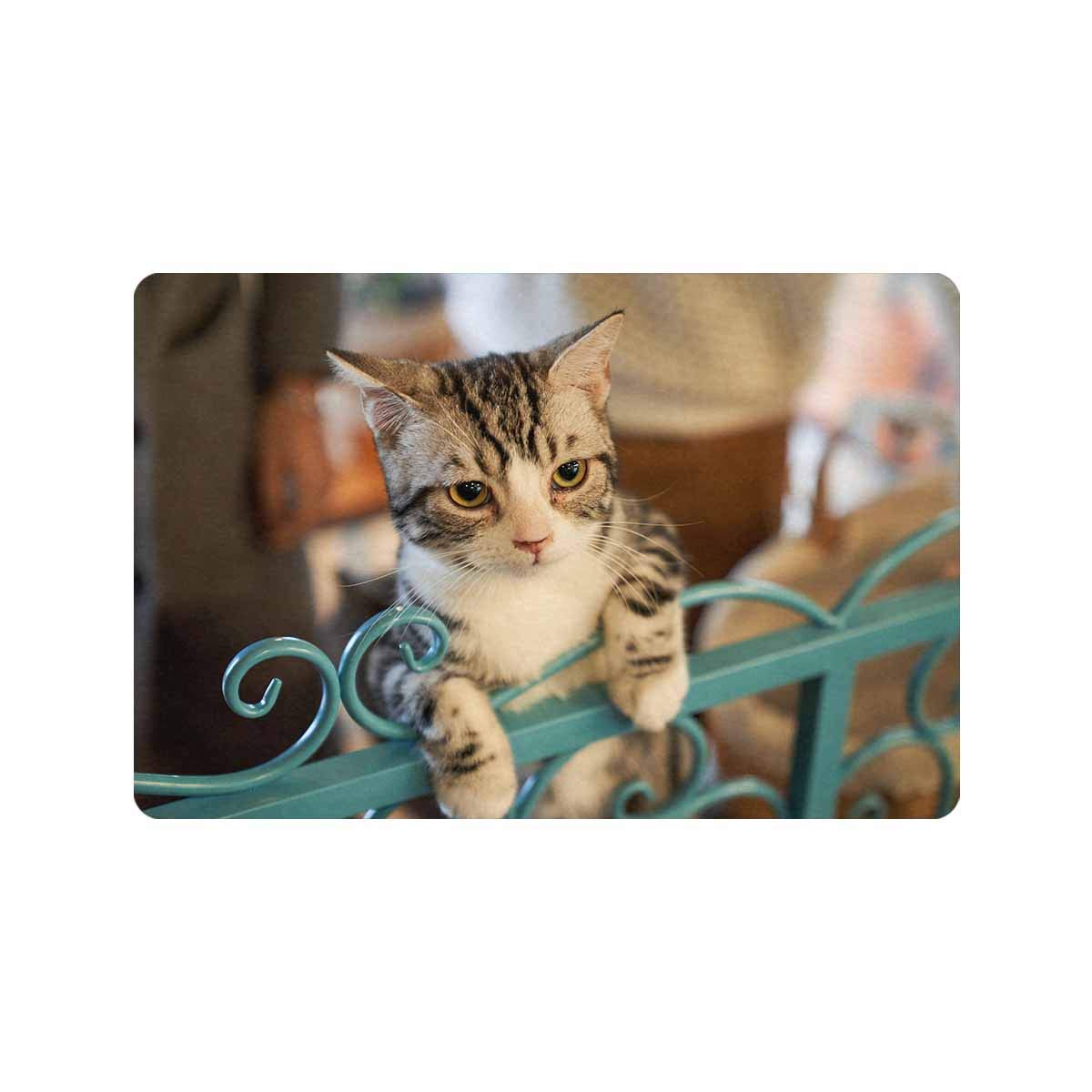 Custom Cat Photo Doormat 24x16 Inches - Personalized Picture Door Mat for Indoor & Outdoor Use - Non-Slip Entrance Rug Decor for Home, Office, or Gift