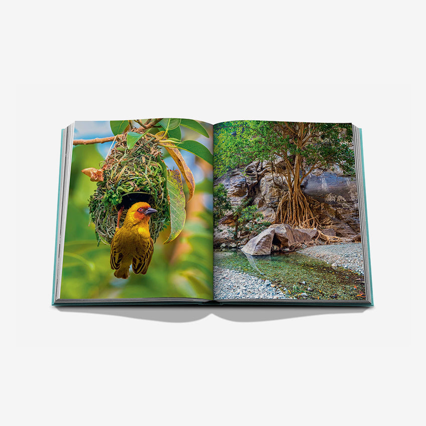 Assouline Red Sea: The Saudi Coast - Luxury Coffee Table Book | Stunning Photography & Travel Inspiration for Home Decor & Gifts