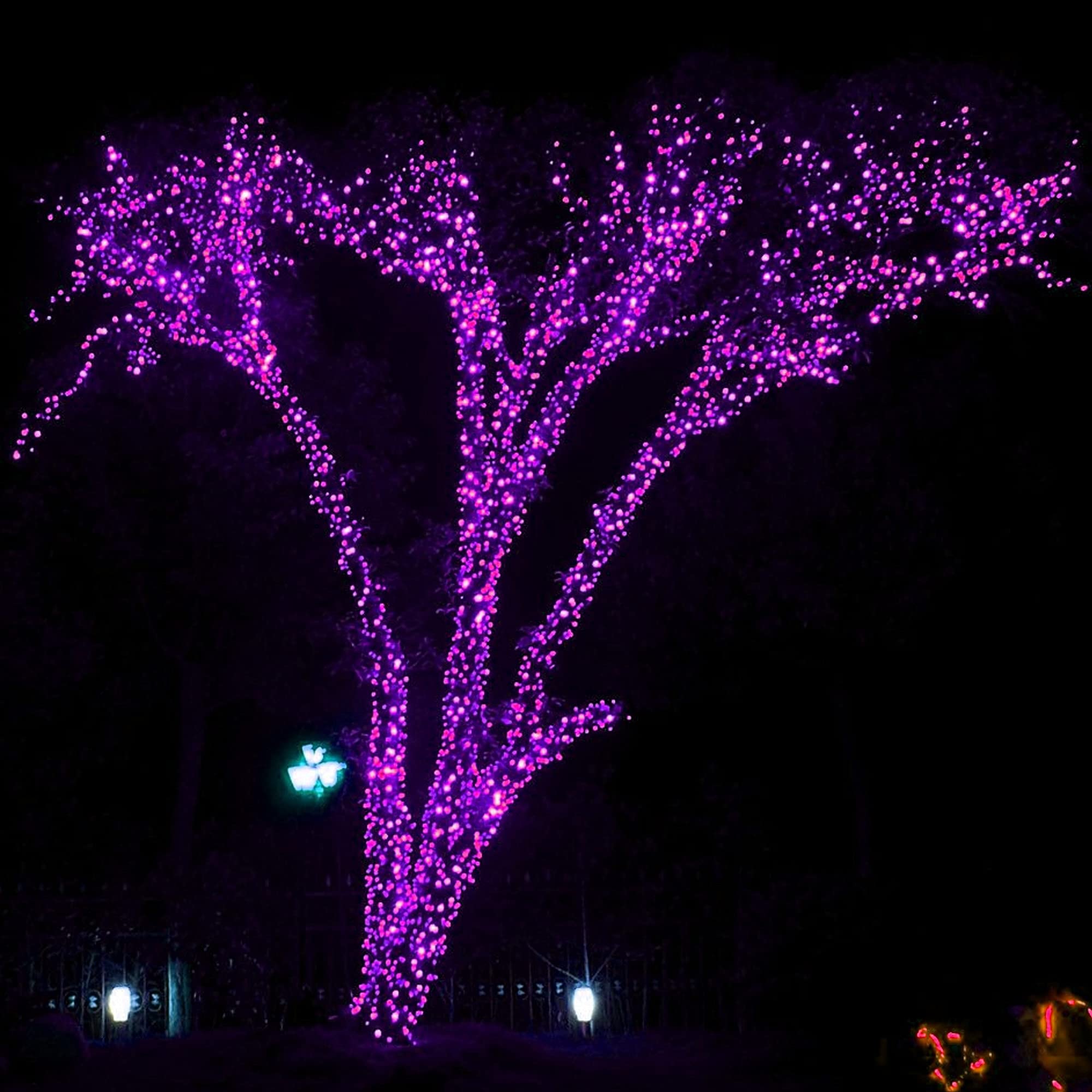 DAZZLE BRIGHT 300 LED Halloween String Lights - 100FT Connectable Outdoor/Indoor Fairy Lights with 8 Lighting Modes | Waterproof Purple Party Decor for Halloween, Garden, Yard, Carnival & Home Decoration - Perfect for Patio, Christmas, Weddings & Special Events