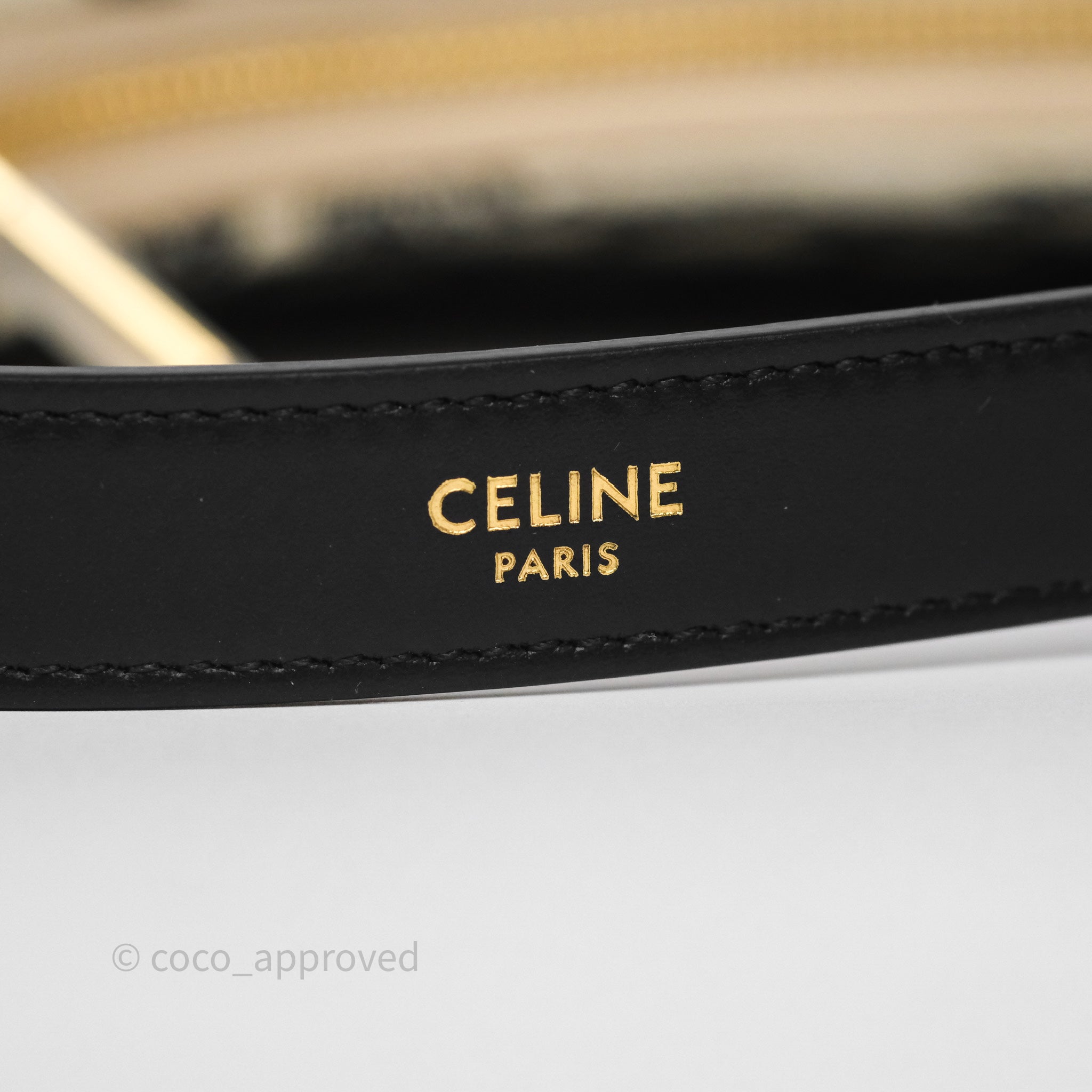 Celine Medium Ava Bag Triomphe Embroidered Black Natural Leather Crossbody Purse - Perfect for Work, Travel & Everyday Use