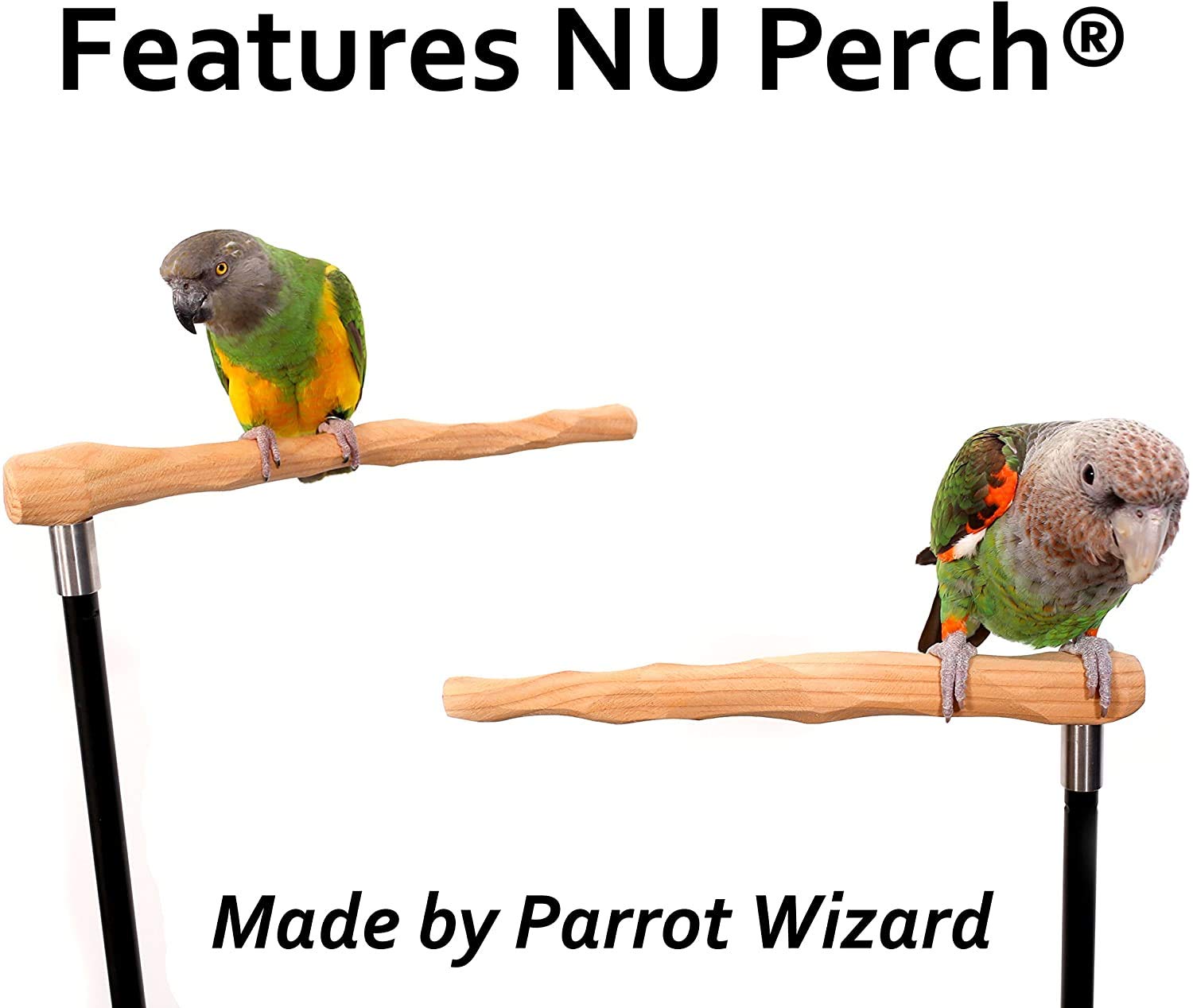 Parrot Training Perch Kit - Small Standard Size Bird Stand for Parakeets, Cockatiels & Lovebirds - Perfect for Training, Grooming & Playtime at Home