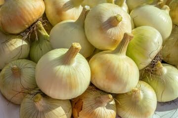 Sweet Vidalia Onions - Fresh Yellow Onions, 2 Pounds - Perfect for Salads, Soups, and Grilling