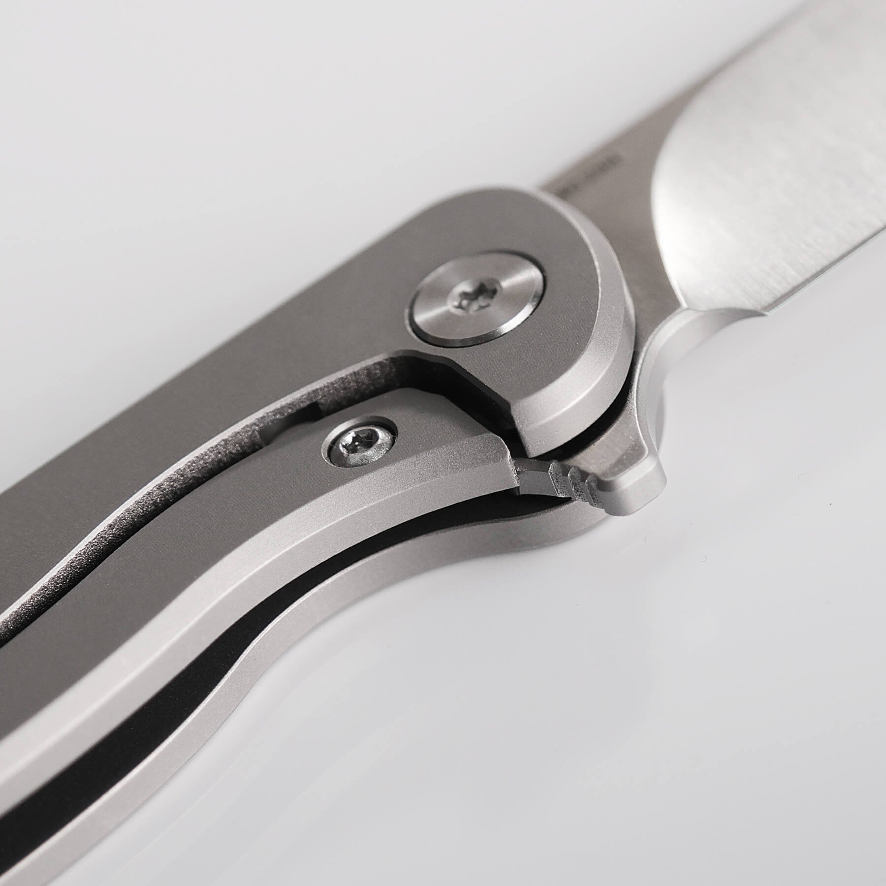 Mini Labrador Frame Lock Knife - 2.73