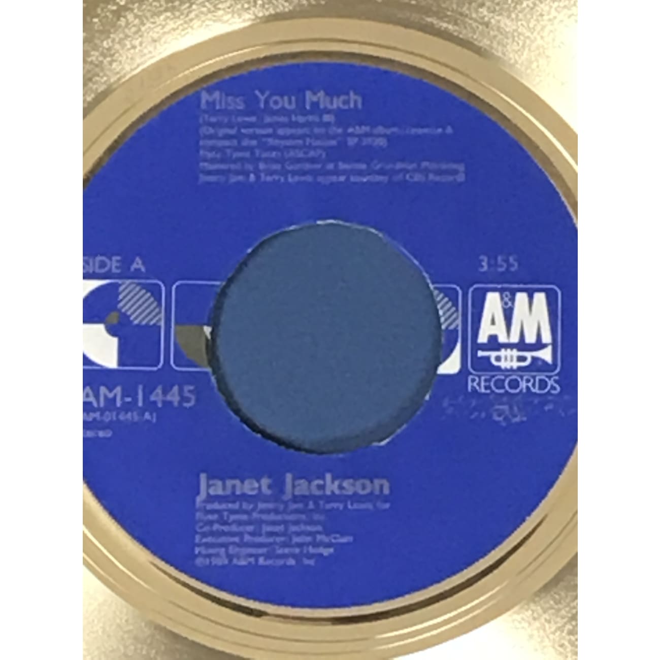 Janet Jackson Miss You Much RIAA Gold Single Award - Rare Collectible Music Memorabilia for Fans & Collectors | Perfect for Display in Music Rooms, Fan Collections & Awards Galleries