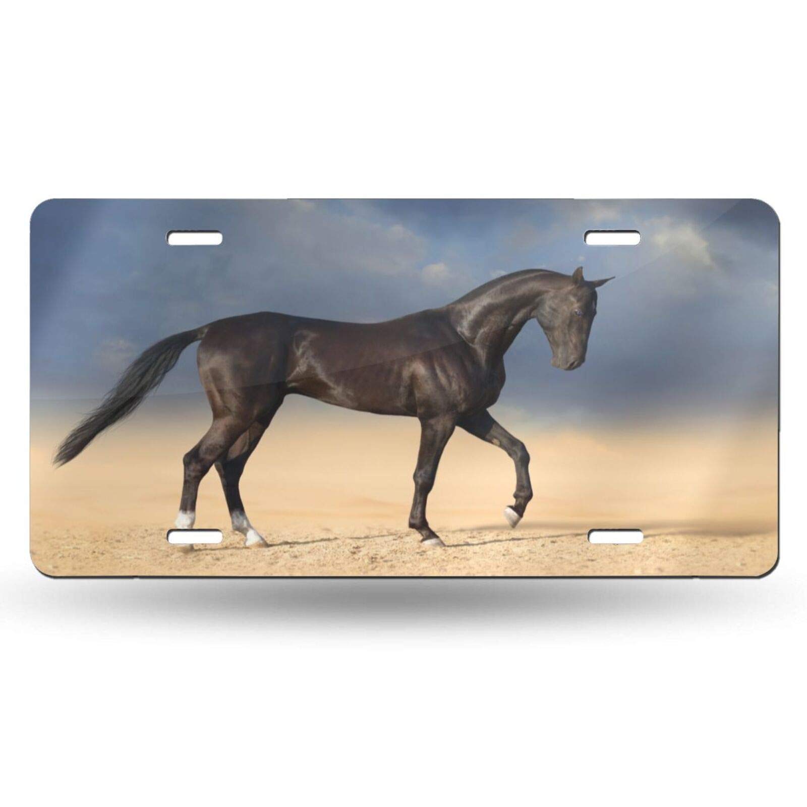 Black Horse Metal License Plate Cover - 6x12 Inch Novelty Car Tag for Auto & Home Decoration - Perfect for Men & Women - Great for Trucks, SUVs, and Garage Wall Decor