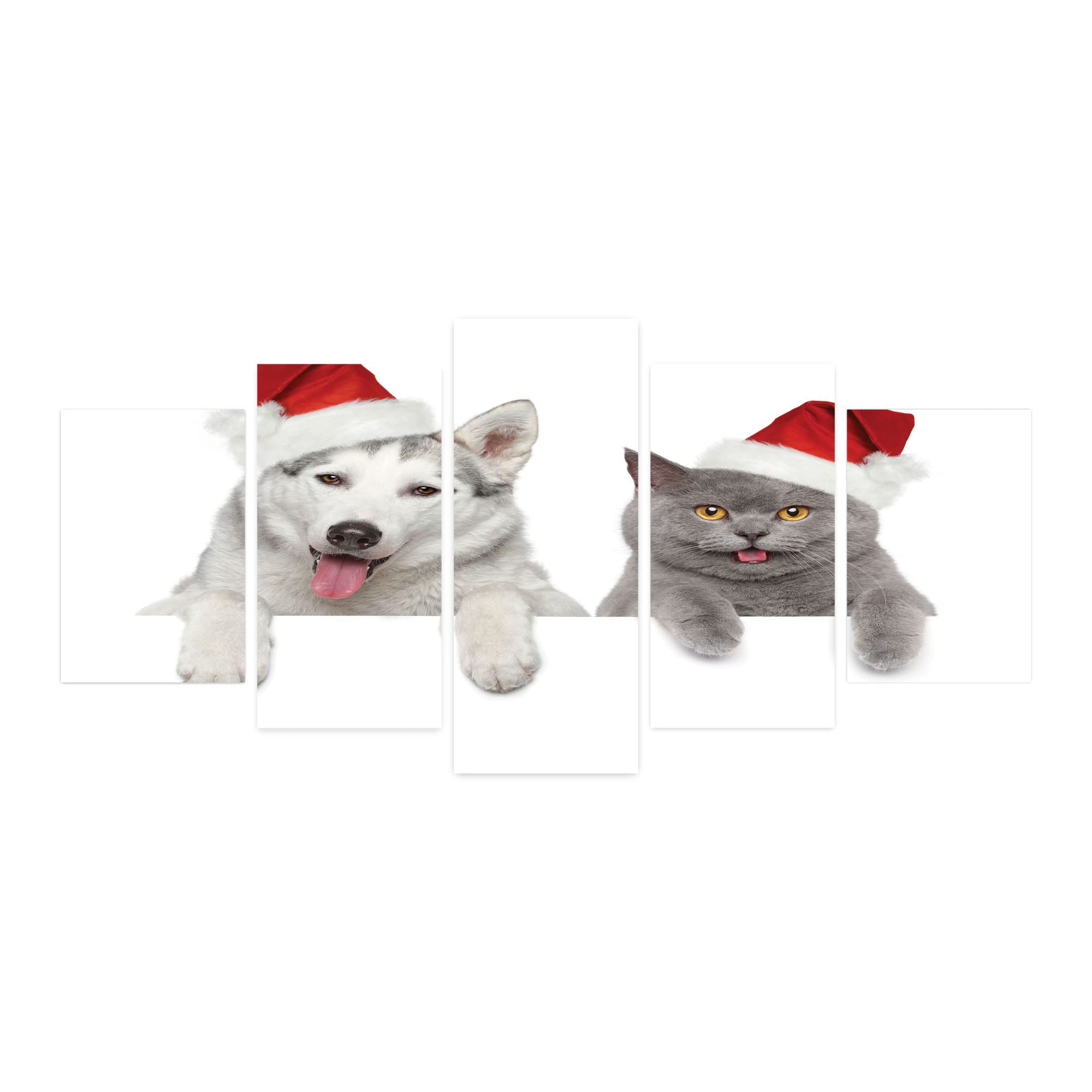 Ambesonne Christmas 5-Panel Acrylic Glass Wall Art - Funny Santa Hat Dog & Cat Pet Portrait - 60