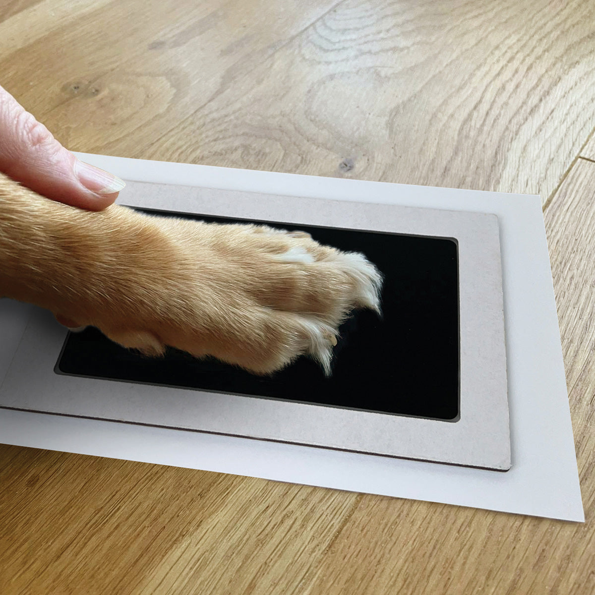 Pet Safe Non-Toxic Paw Print Ink Pad Kit for Dogs & Cats - DIY Pet Paw Print Keepsake, Crafting, and Memory Making