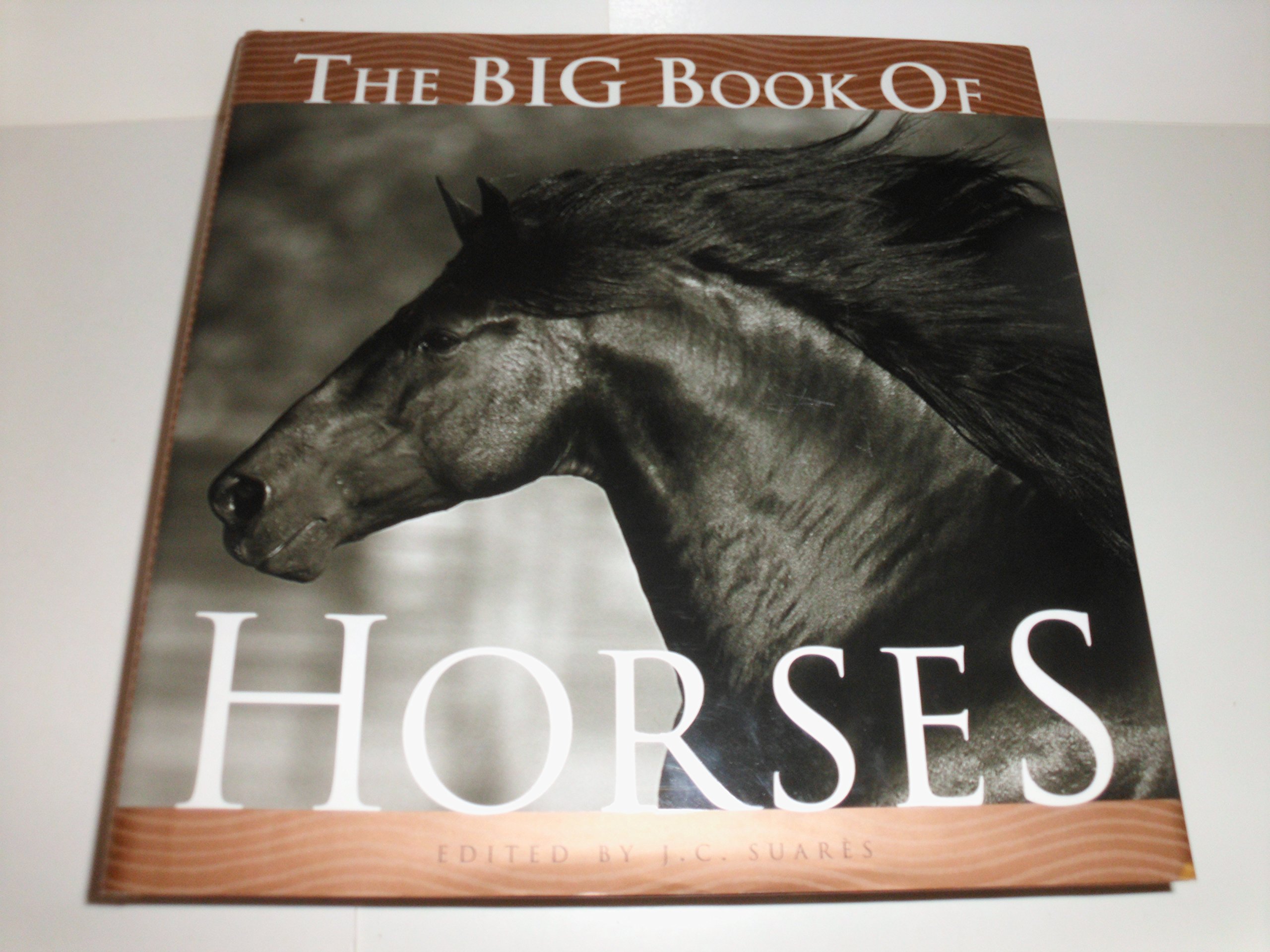The Big Book of Horses - Ultimate Guide to Horse Breeds, Care & Training | Perfect for Equestrian Enthusiasts & Horse Owners