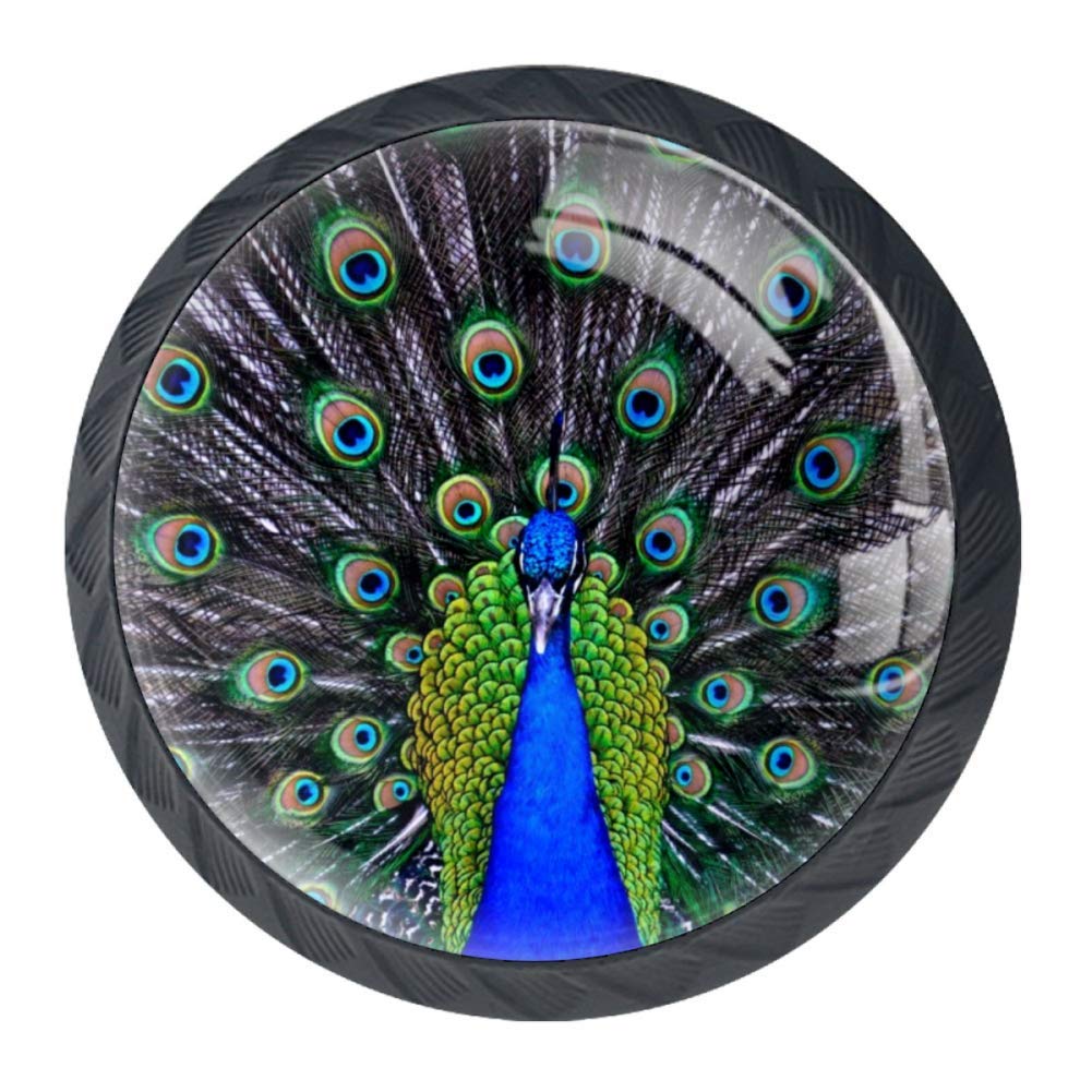 Idealiy Bird Peacock Drawer Pulls Handles - 4 Pack Cabinet Hardware Knobs for Dresser, Vanity, Wardrobe - Vintage Decorative Drawer Handles with Screws - Perfect for Bedroom Furniture, Bathroom Cabinets & DIY Home Decor