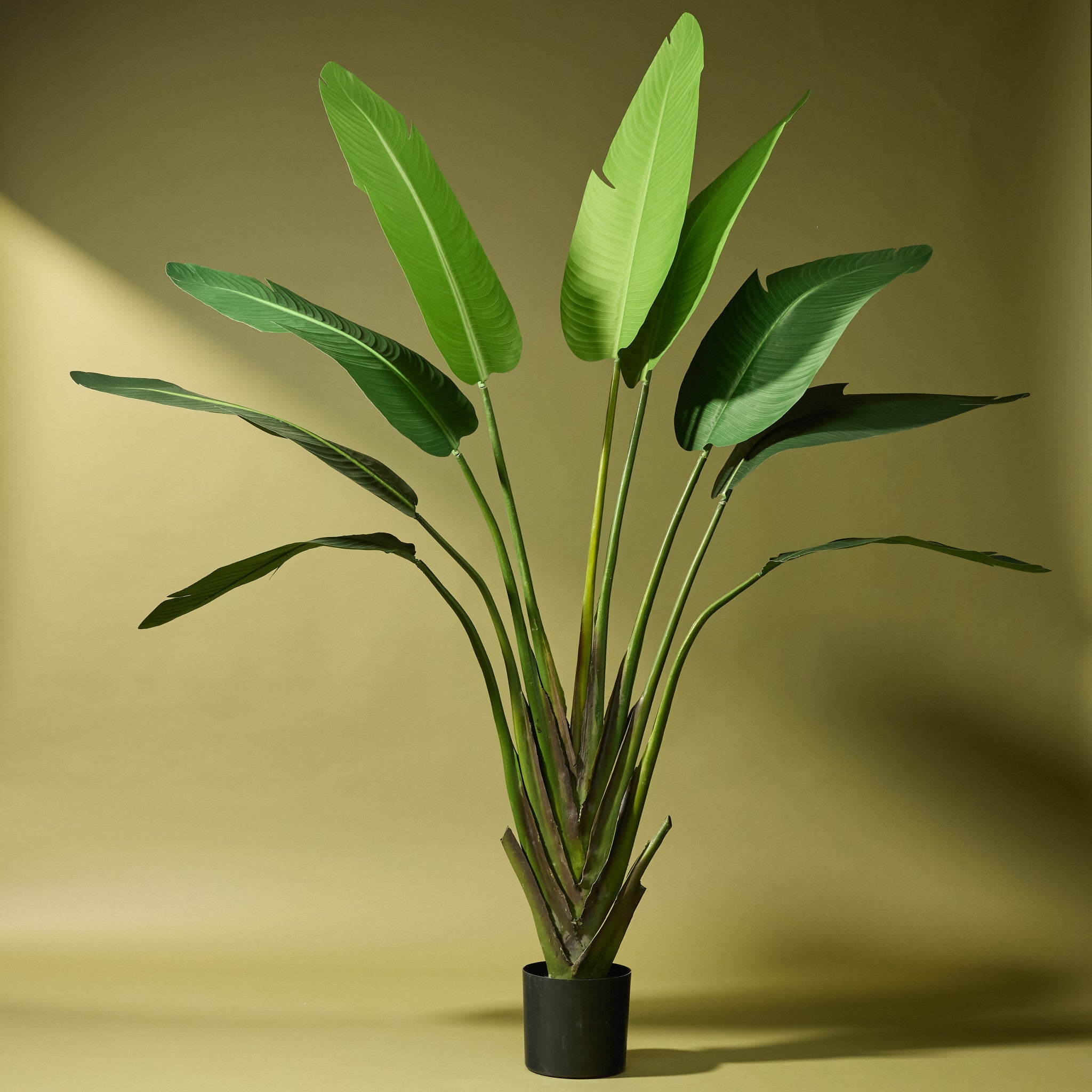 Premium 160cm Artificial Travellers Palm Plant - Perfect for Home Decor, Office Spaces & Indoor Greenery
