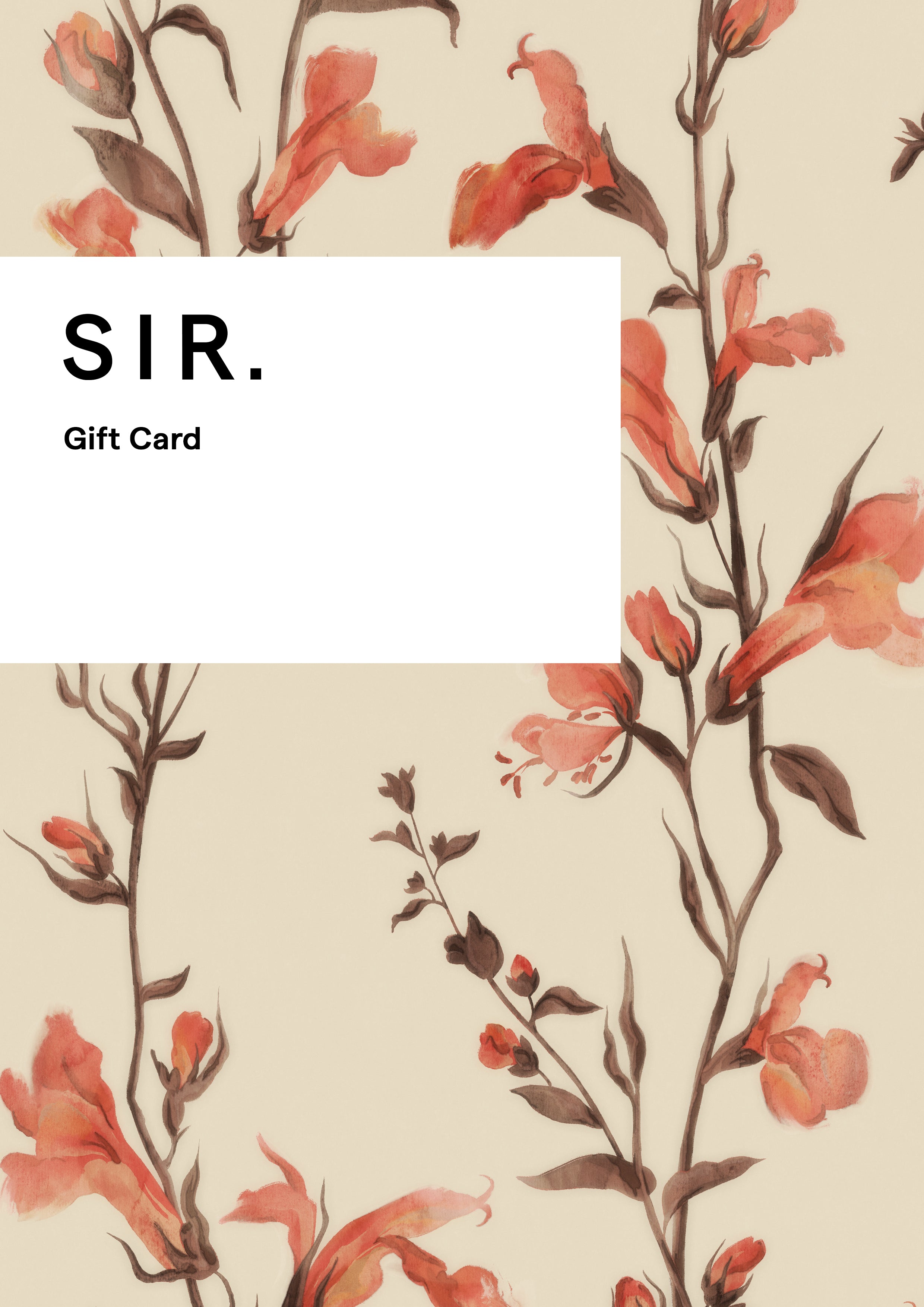 Best Gift Cards for All Occasions - Perfect for Birthdays, Holidays & Special Events | Online eGift Cards & Digital Vouchers