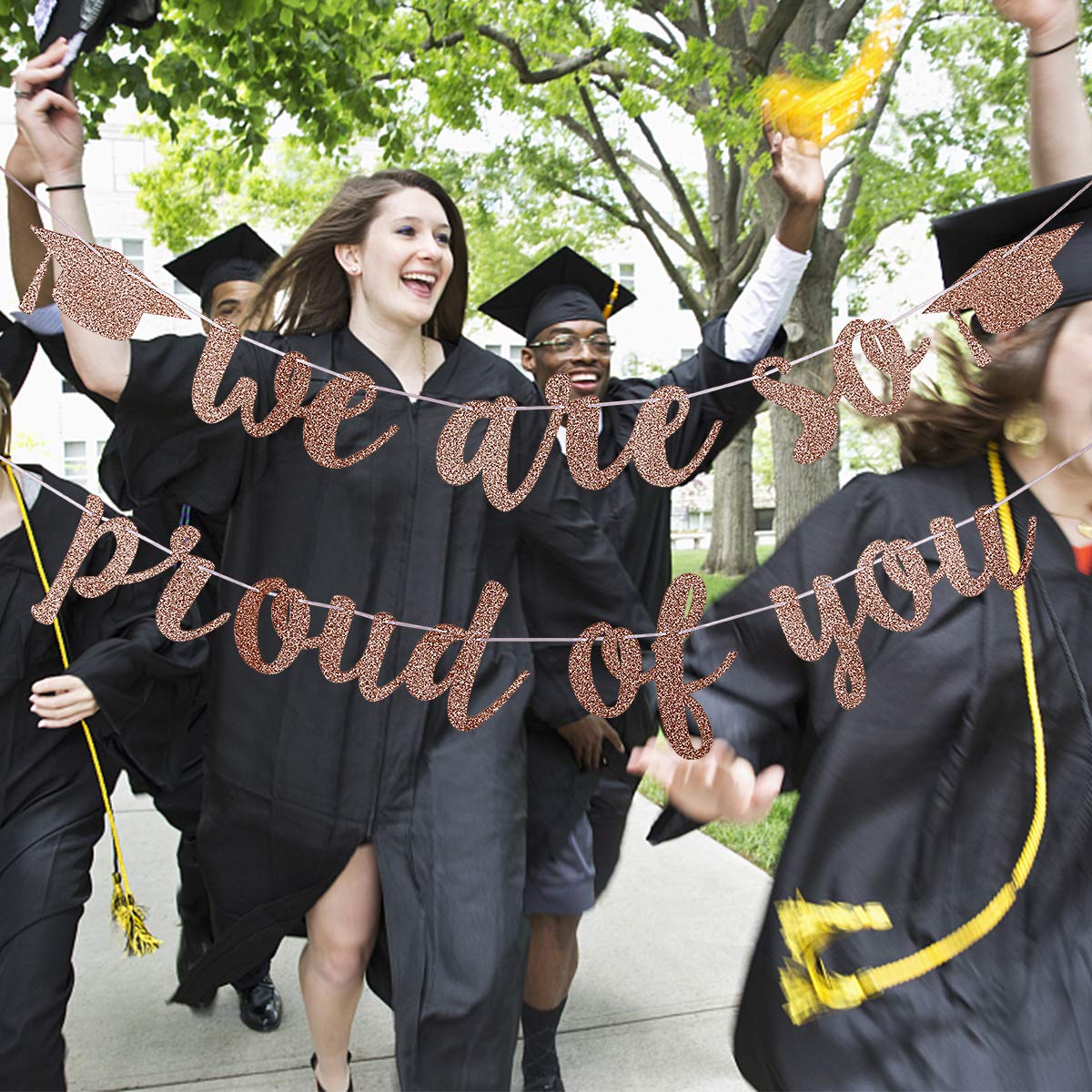 2025 Graduation Banner - Rose Gold 