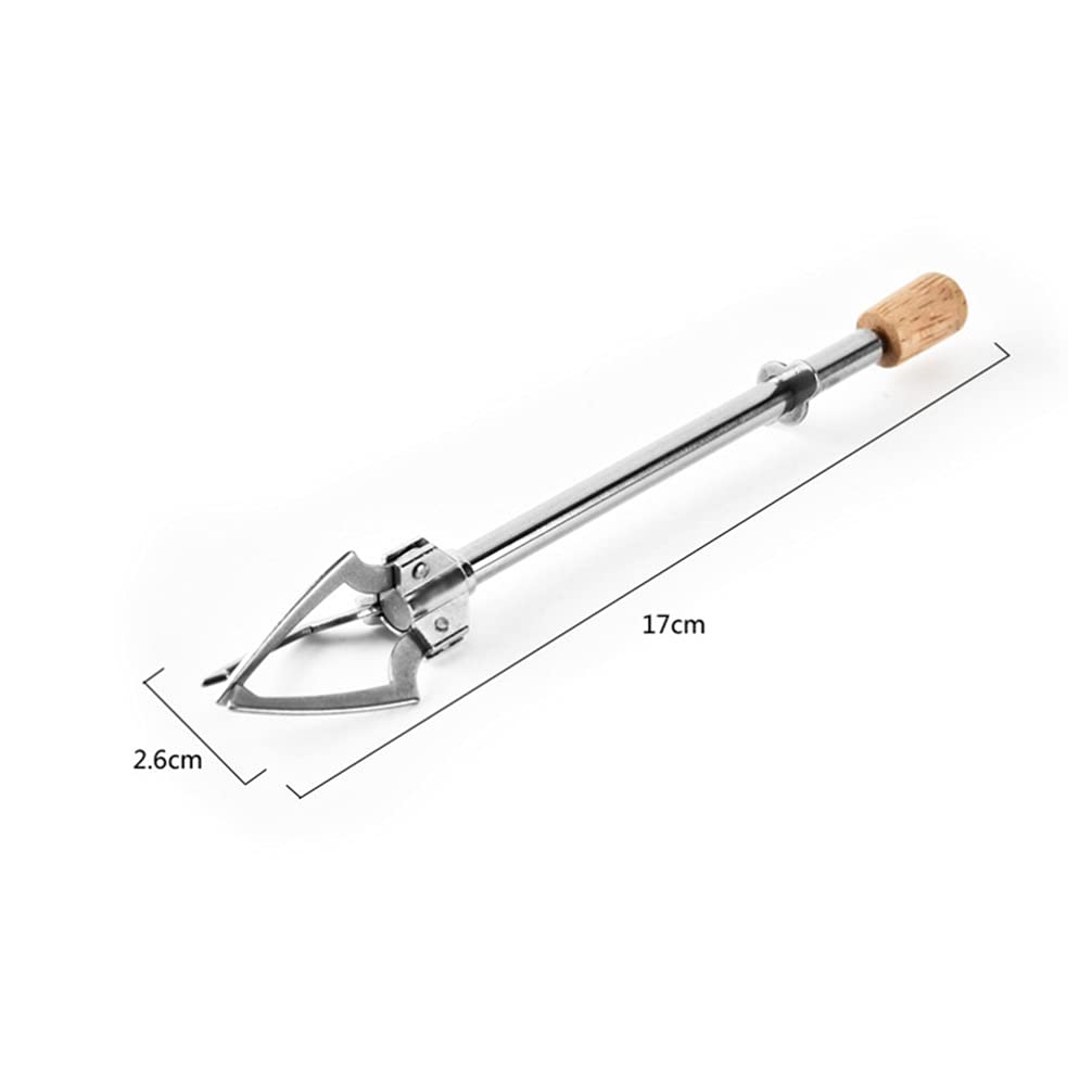 Stainless Steel Food Clip Serving Tongs - Multipurpose Kitchen Utensil for Coffee, Toast, Sugar Cubes, Fruit, Pasta & BBQ | Ideal for Cooking, Buffet Serving & Kids Meals | Durable & Safe for Daily Kitchen Use
