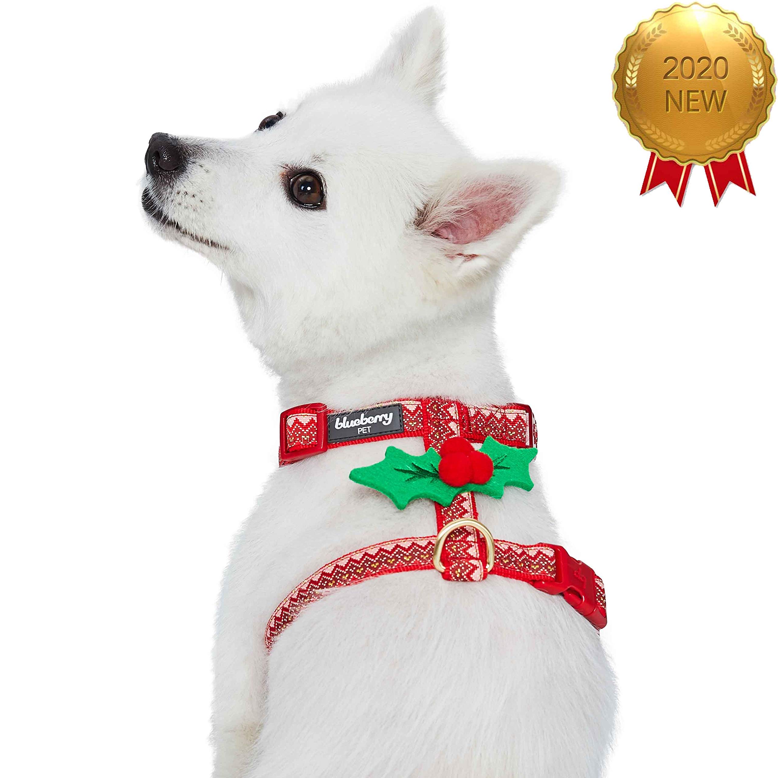 Blueberry Pet Christmas Zigzag Chevron No-Pull Dog Harness with Holly Décor - Adjustable Small Dog Vest for Walking & Training | Festive Holiday Outfit for Puppies