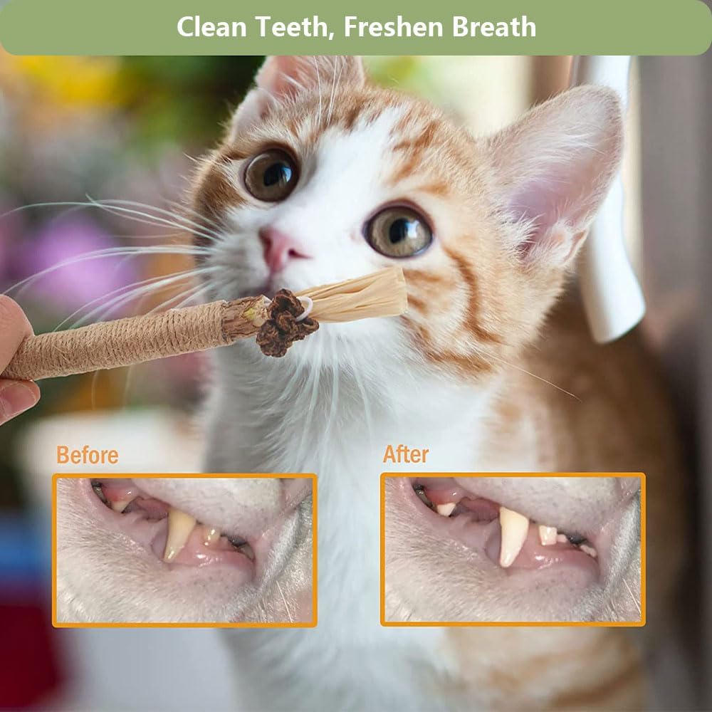 3 PCS Natural Silvervine Sticks for Cats - Dental Chew Toys for Kittens & Aggressive Chewers, Catnip Alternative for Teeth Cleaning | Portable Cat Chew Sticks for Travel & Home Use