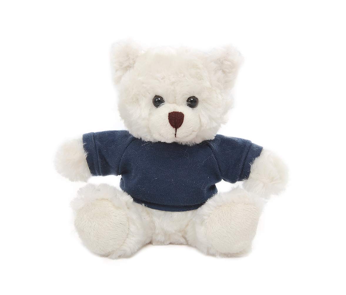 12 Inch Personalized Valentine's Day Teddy Bear - Custom Name on T-Shirt, Soft Plush Stuffed Animal for Couples | Romantic Gift for Anniversary, Wedding, Birthday & Long Distance Relationships