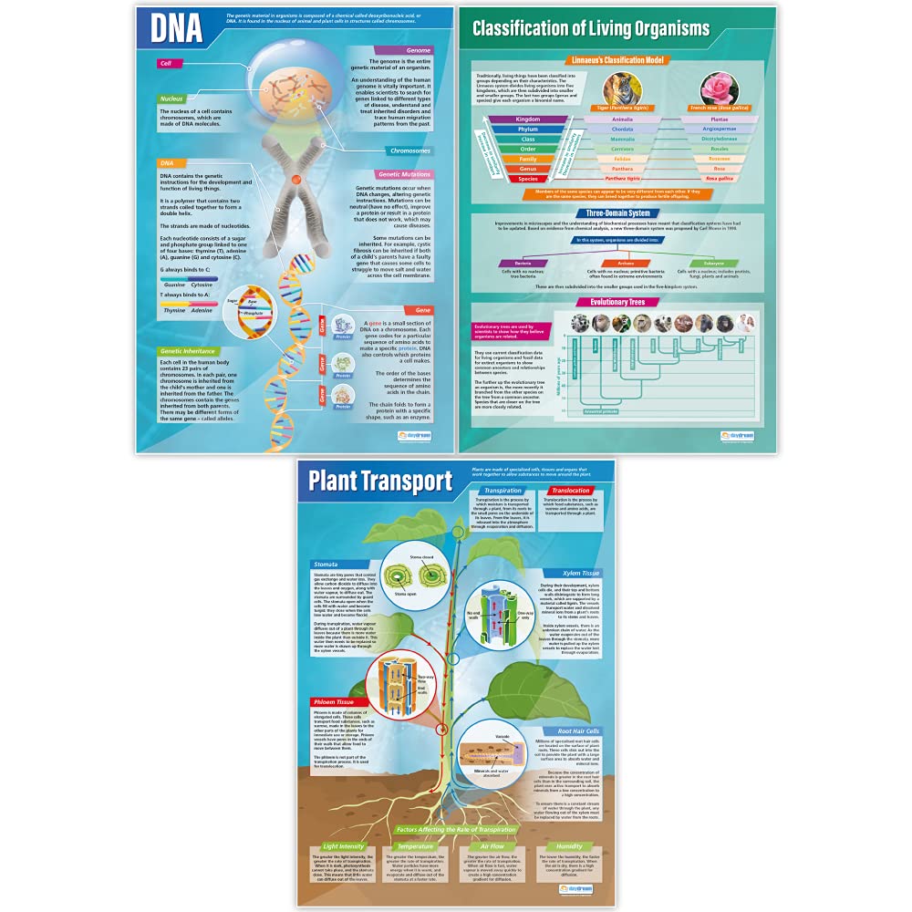 Biology Science Posters - Set of 13 Extra Large 33x23.5 Inch STEM Classroom Decor - High Quality Gloss Paper Wall Charts for Middle & High School - Educational Science Classroom Decorations by Daydream Education - Perfect for Science Labs, Homeschooling & Classroom Learning
