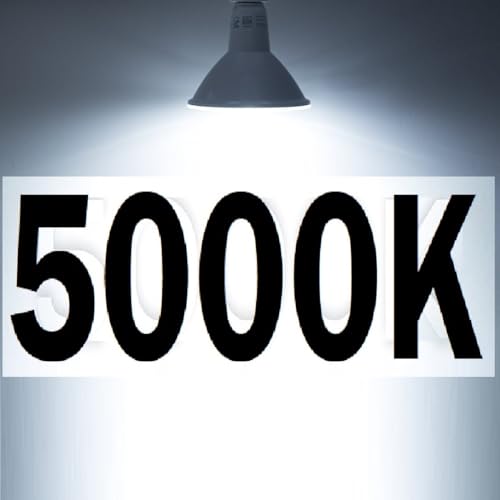 Daylight 5000k