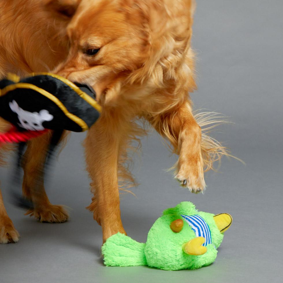 BarkShop Scally Wags Wearable Dog Plush Toy Set - 20% Off | Soft & Cute Plush Toys for Small & Medium Dogs | Perfect for Playtime, Cuddling & Dress-Up Fun
