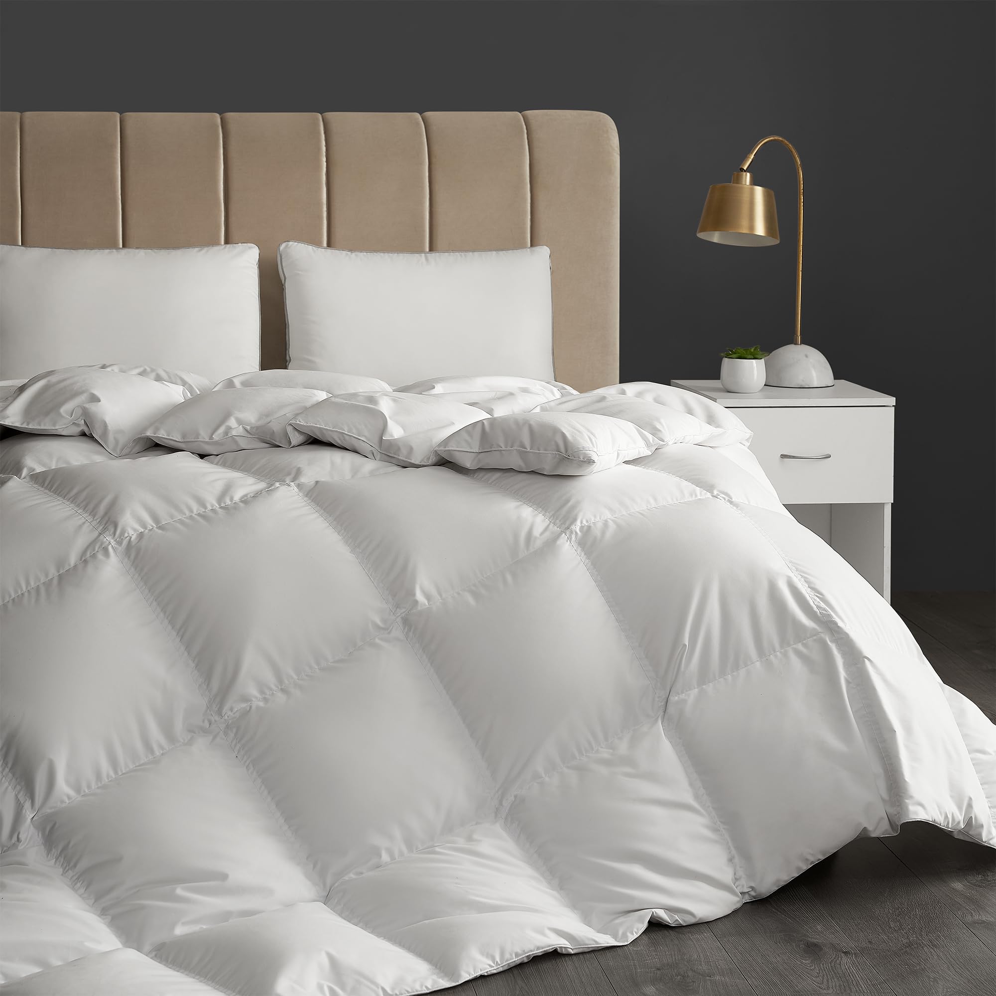 Premium White Goose Down Comforter Queen Size - All Seasons Fluffy Hotel Collection Duvet Insert with Breathable Panels, Medium Warmth, 90