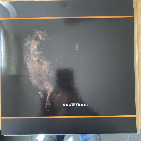 Lambchop Showtunes Vinyl LP Album - Near Mint (NM/M) Condition - Perfect for Jazz & Indie Music Collectors & Home Listening