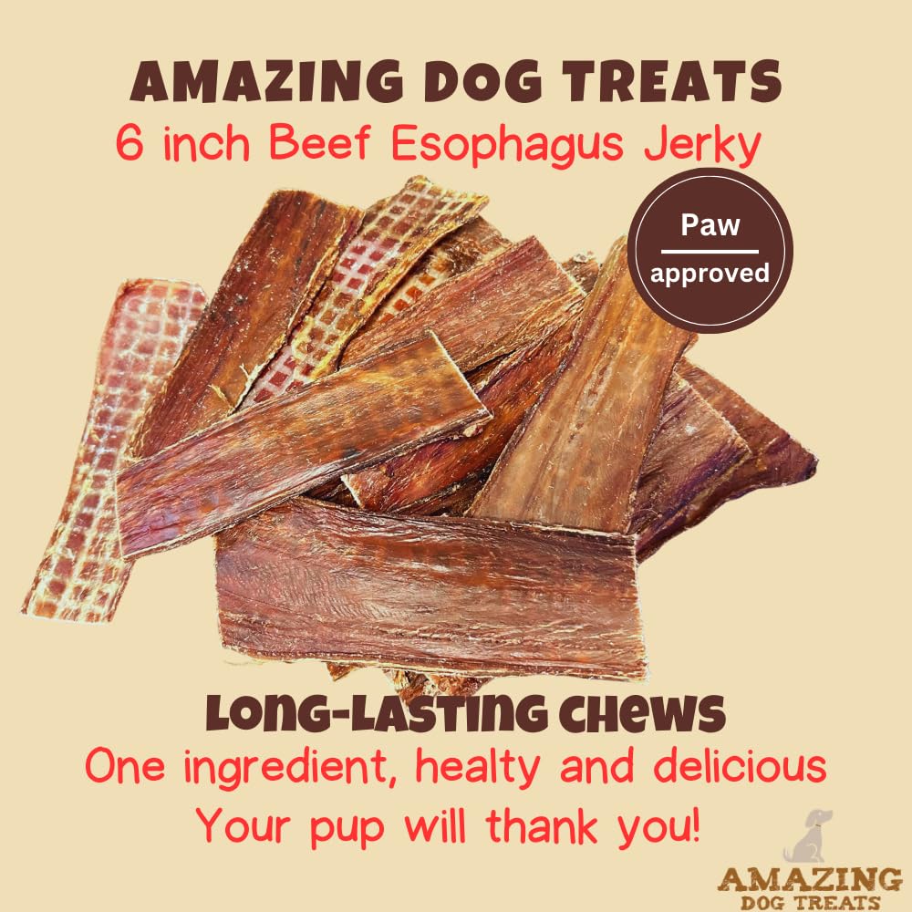Premium Beef Esophagus Dog Treats - 6 Inch Natural Gullet Chews for Medium & Large Dogs (25-Pack) - High-Protein, Grain-Free, Long-Lasting Dental Chews for Aggressive Chewers - Perfect for Training, Teething & Dental Health