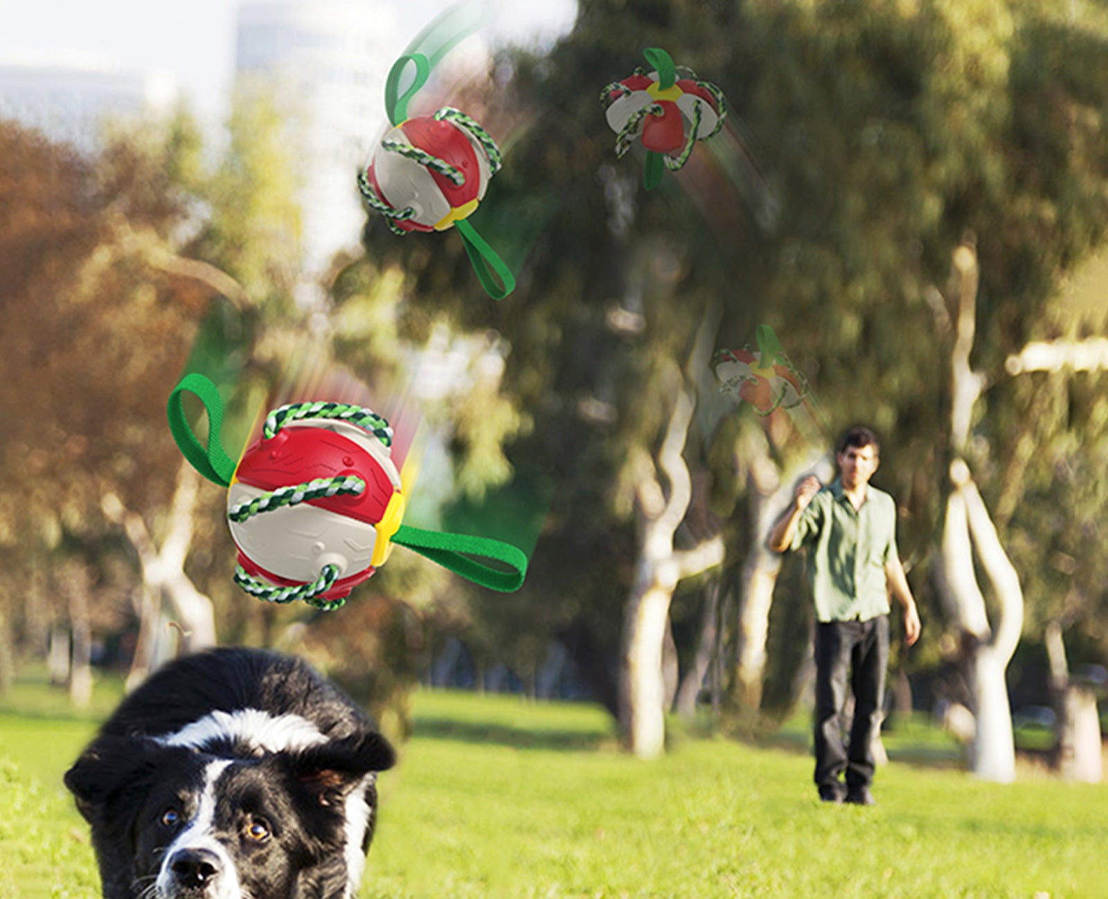 Interactive Dog Toy for Training & Play - Durable Chew-Resistant Pet Toys for Small & Large Dogs - Perfect for Indoor & Outdoor Fun